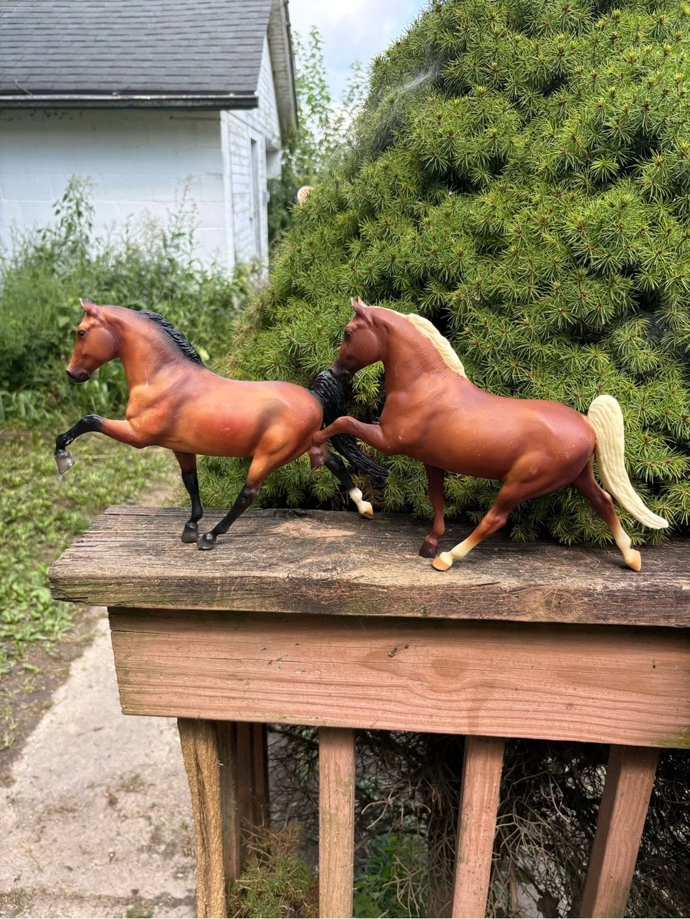 Breyer pair le